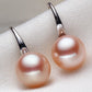 Freshwater pearl earrings